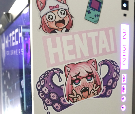 Anime Catgirl Vinyl Sticker Blind Packs