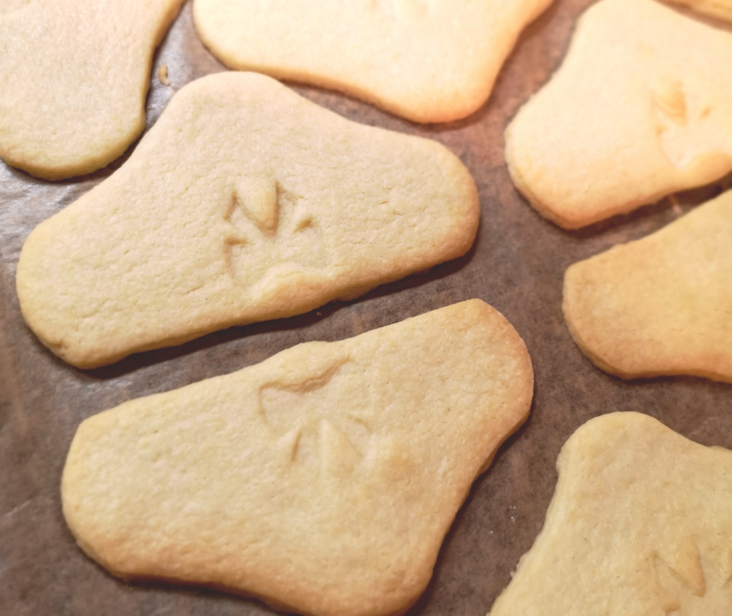 Pantsu Ausstechform mit Schleife